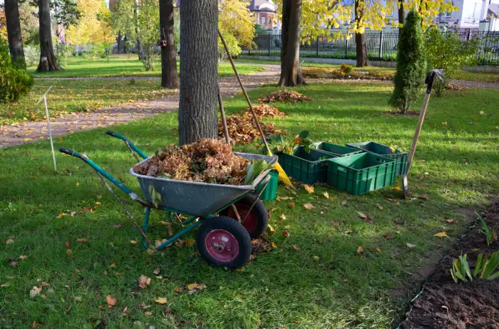 How to clean a backyard in Aloha, OR