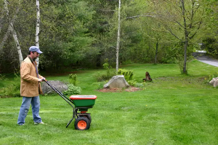 How to clean a backyard in Aloha, OR