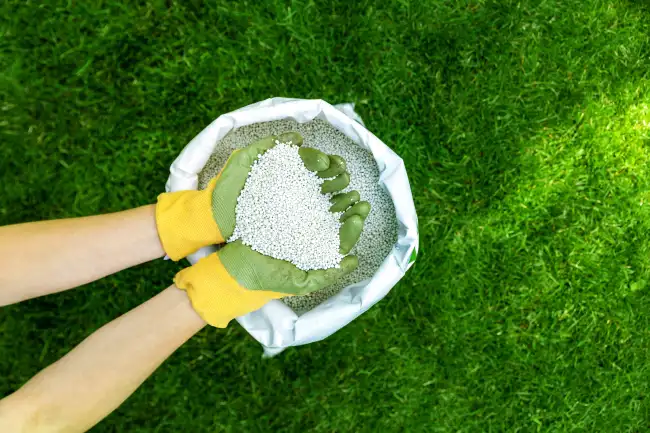 Professional lawn fertilization in Aloha, OR