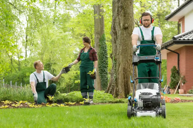 Reliable lawn mowing in Aloha, OR