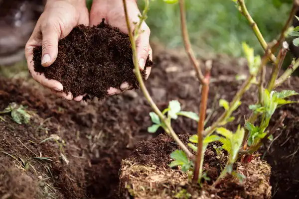 Affordable mulching in Aloha, OR