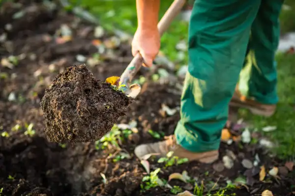 Professional mulching in Aloha, OR