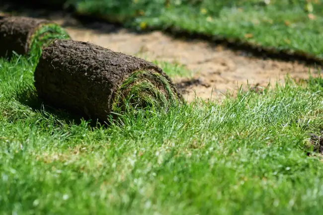 Professional sod installation in Aloha, OR