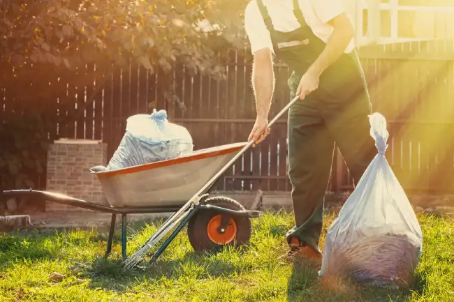 Professional yard cleanup in Aloha, OR