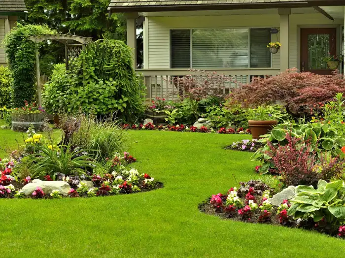 Outstanding yard cleanup in Aloha, OR