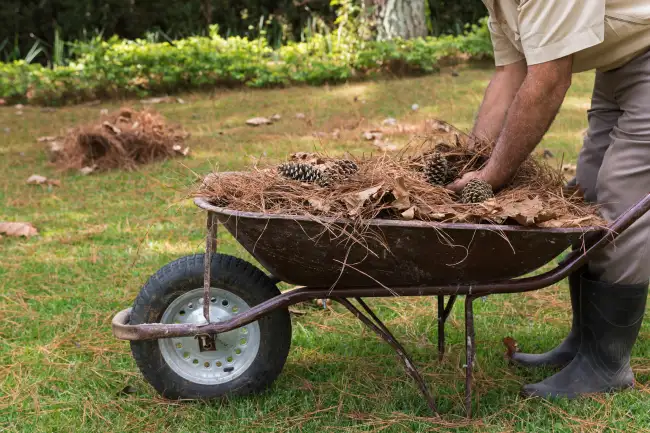 Affordable yard cleanup in Aloha, OR